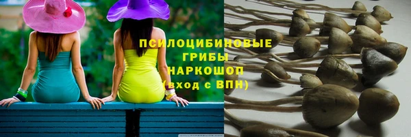 бошки Балахна