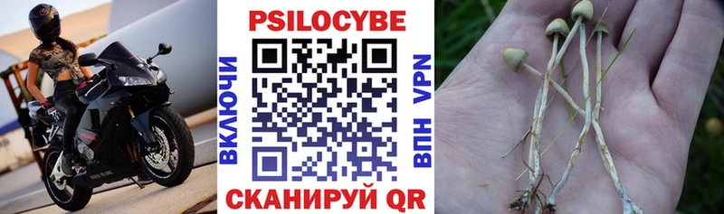 Псилоцибиновые грибы Psilocybe  даркнет сайт  Нерюнгри 